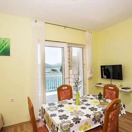 Apartment Krsticevic *