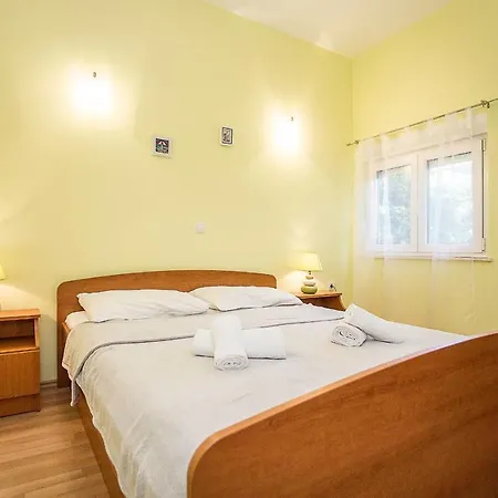 Krsticevic 클레크